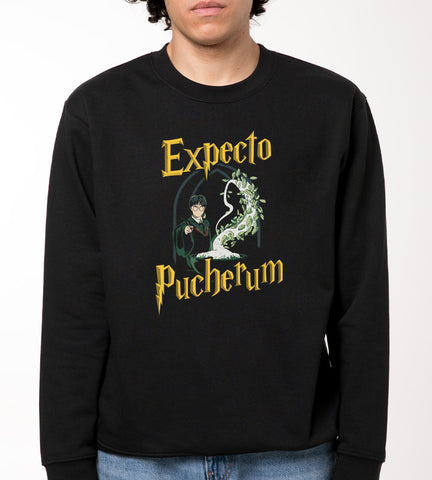 EXPECTO PUCHERUM  Sudadera